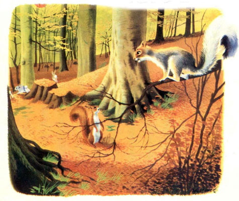 قصه کودکانه «سنجاب بازیگوش»-داستانهای مصور رنگی برای کودکان-ارشیو قصه و داستان ایپابفا